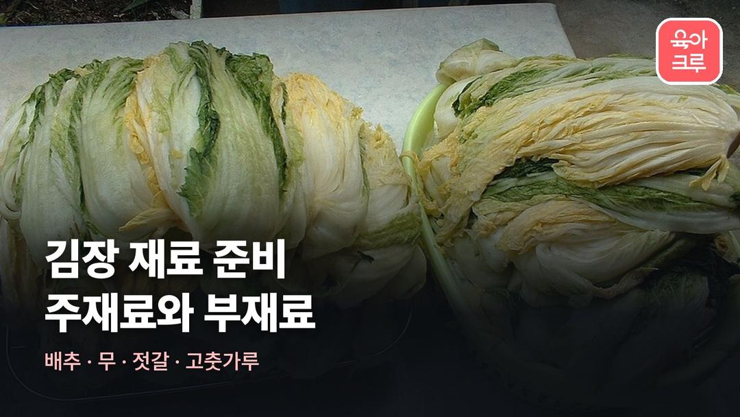 김장 재료 준비, 주재료 부재료와 김장 시기 한 번에 정리