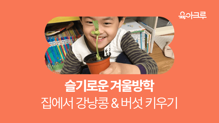 슬기로운 겨울 방학 생활 - 집에서 강낭콩 & 버섯 키우기