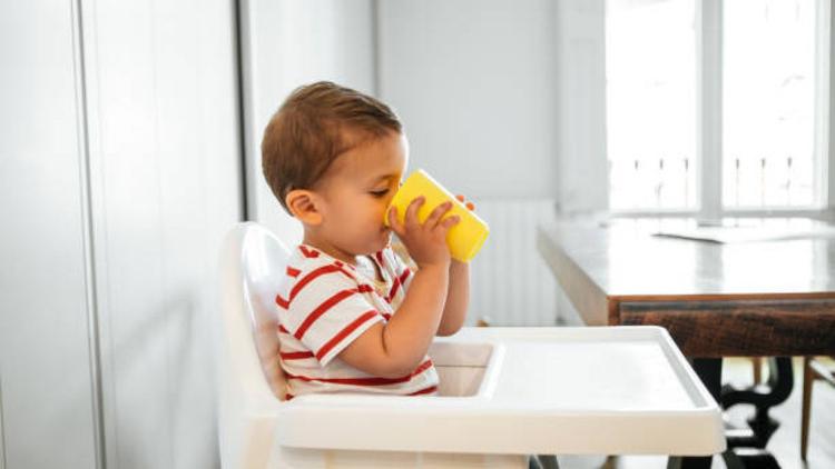 아기 배도라지즙, 언제부터 먹여도 되나요? (+엄마표 배도라지즙 레시피 & 도라지 알러지)