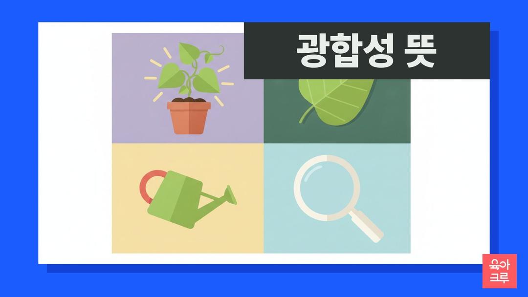 광합성 뜻, 광합성 산물과 엽록체·광합성은 몇 학년에 배우나