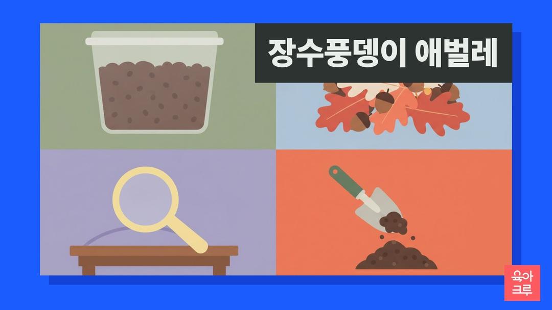 장수풍뎅이 애벌레 키우기, 발효 톱밥과 1령·3령 크기, 번데기 되는 시기