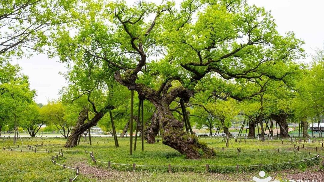 성주 가볼만한곳 5곳, 성주 아이랑 가볼만한곳 성주 과일어린이 과학체험관·성주 놀벤져스 어린이놀이터