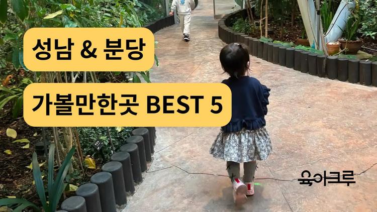 성남 가볼만한곳 BEST 5 – 잡월드, 성남시박물관, 판교생태학습원, 월드킹 키즈카페까지