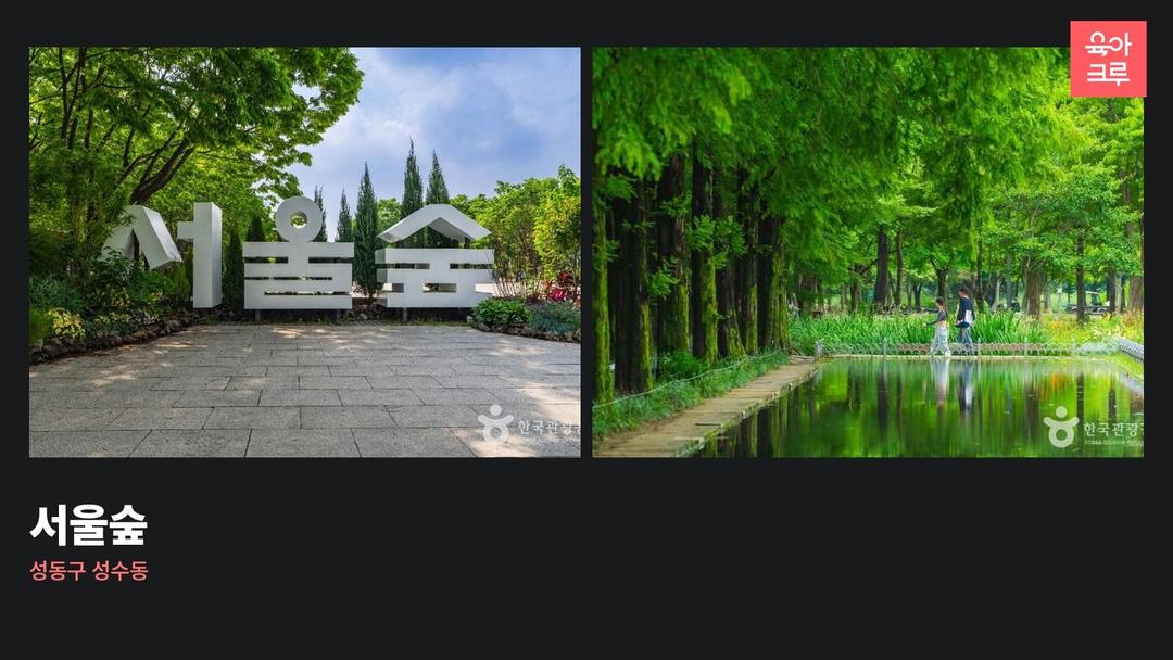 서울숲 주차 211대, 꽃사슴 방사장과 바닥분수 가는 길
