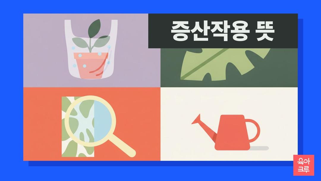 증산작용 뜻, 기공 뜻과 잎에서 물이 빠져나가는 과정