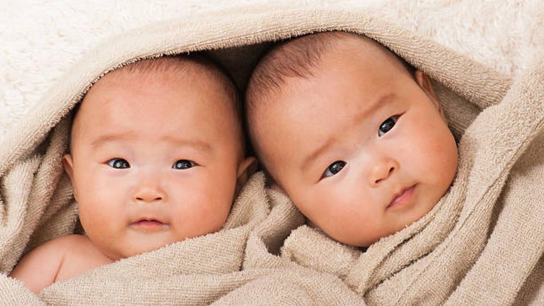 쌍둥이 육아 꿀팁 7가지 – 신생아 시기부터 실천 가능한 현실 조언