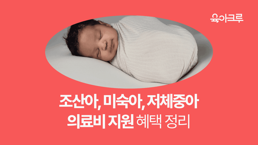인큐베이터 몸무게 - 인큐베이터 지원 알아보기