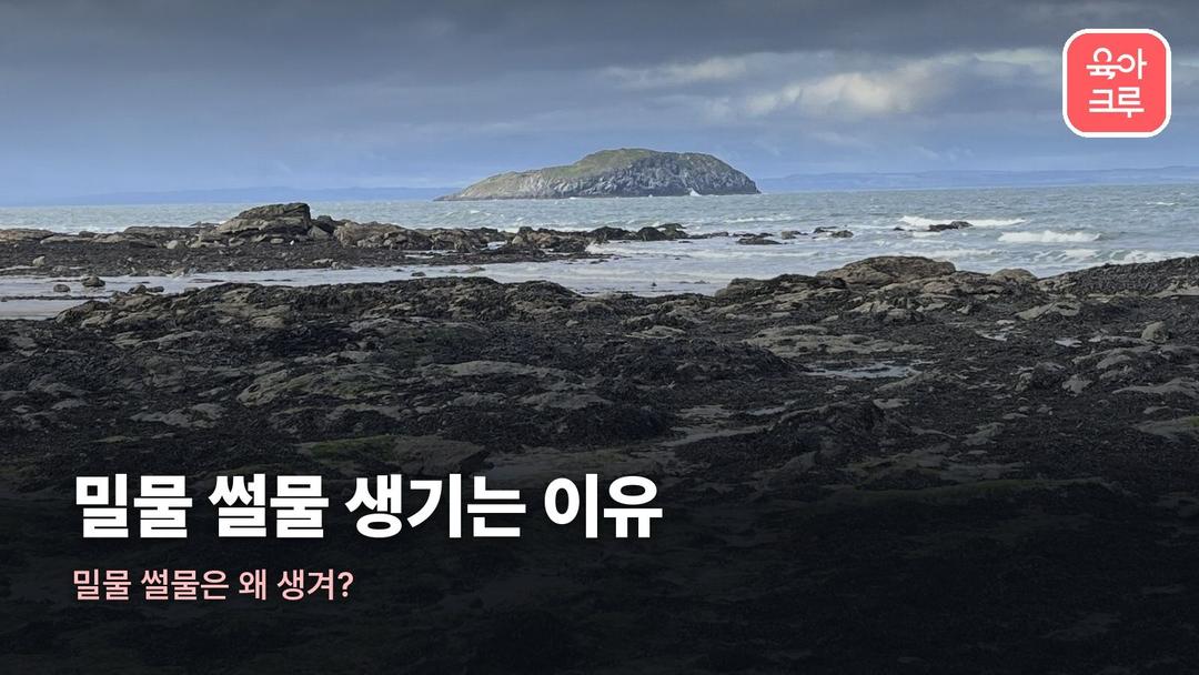 밀물 썰물 생기는 이유, 밀물 썰물 원리