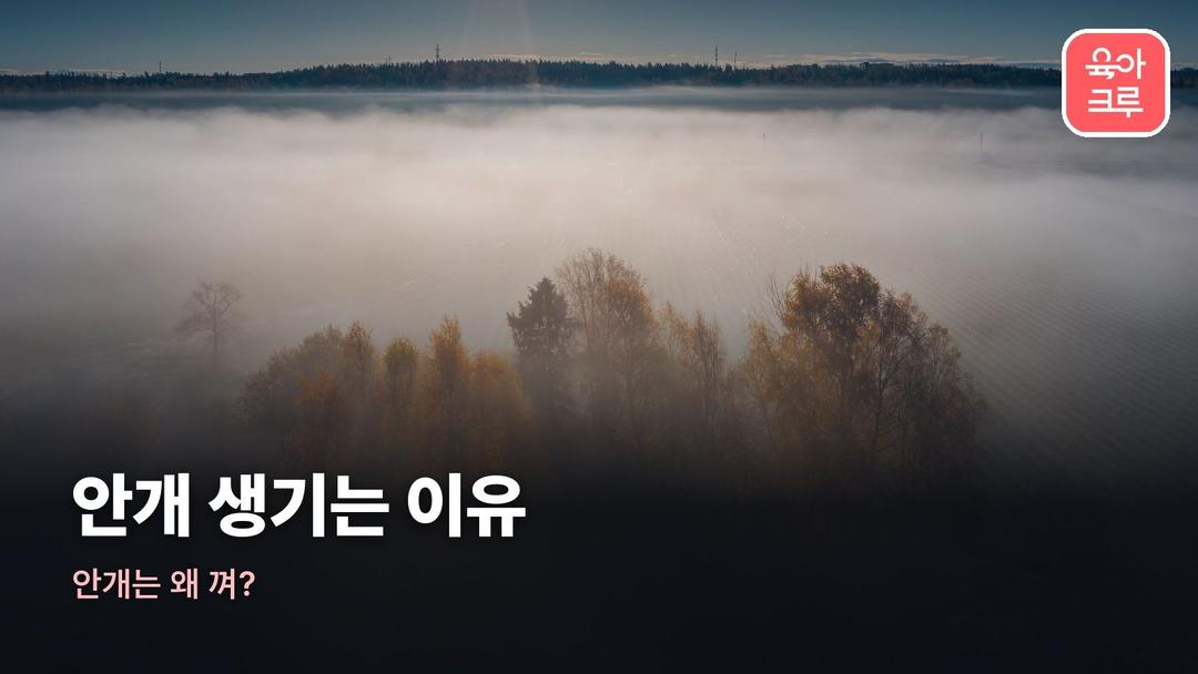 안개 생기는 이유, 안개 발생 원리