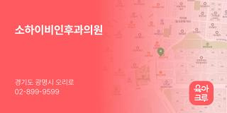 소하이비인후과의원
