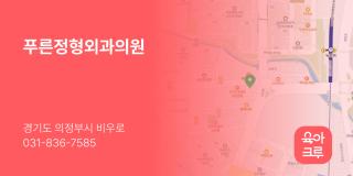 푸른정형외과의원