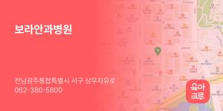 보라안과병원