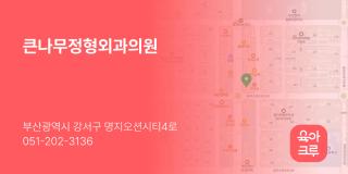 큰나무정형외과의원