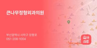 큰나무정형외과의원