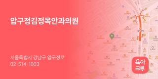 압구정김정목안과의원