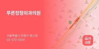푸른정형외과의원