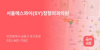 서울에스와이(SY)정형외과의원