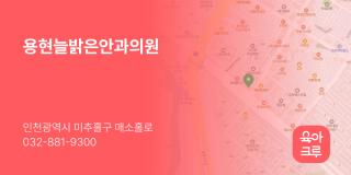 용현늘밝은안과의원
