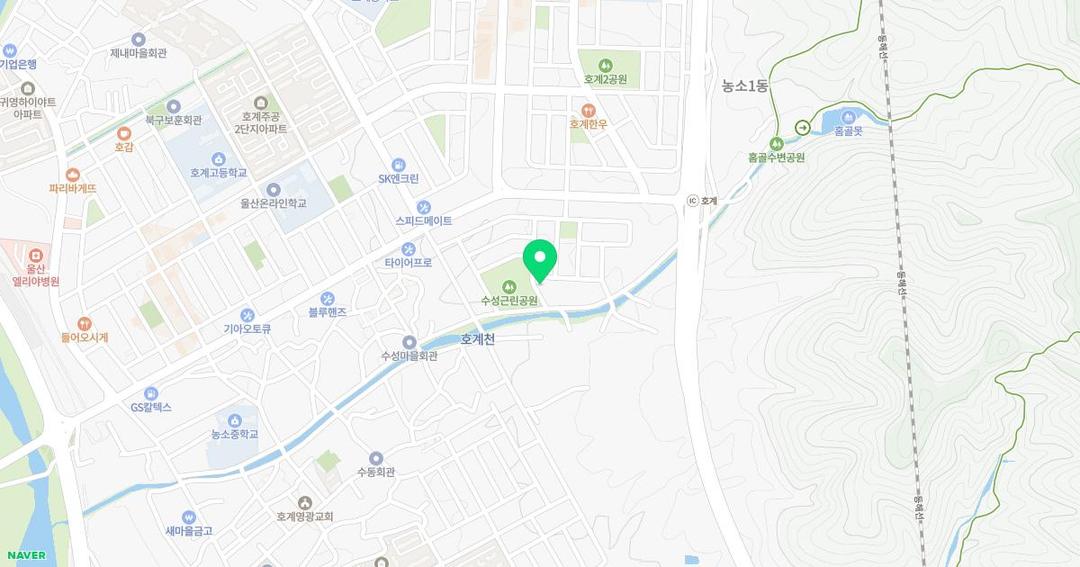 호계비둘기유치원 위치 지도