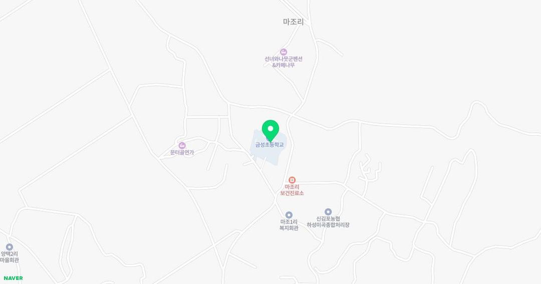 금성초등학교병설유치원 위치 지도