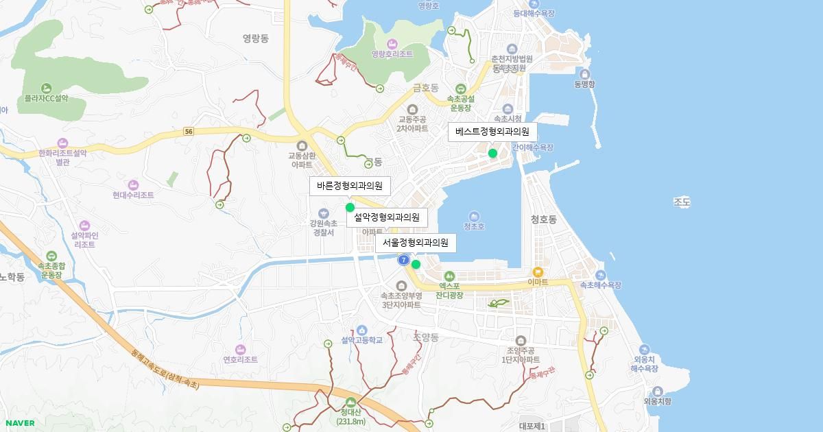 토요일 정형외과