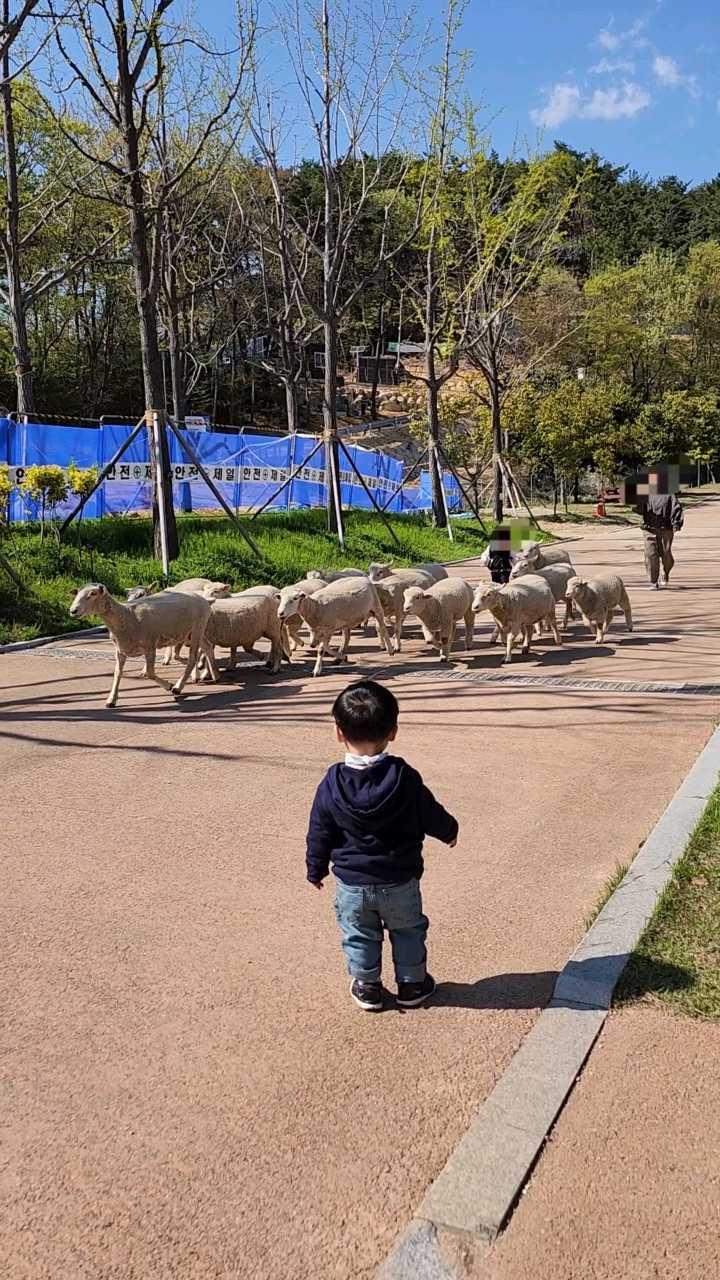 크루톡 이미지 1