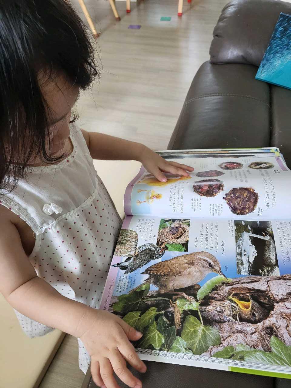 크루톡 이미지 2