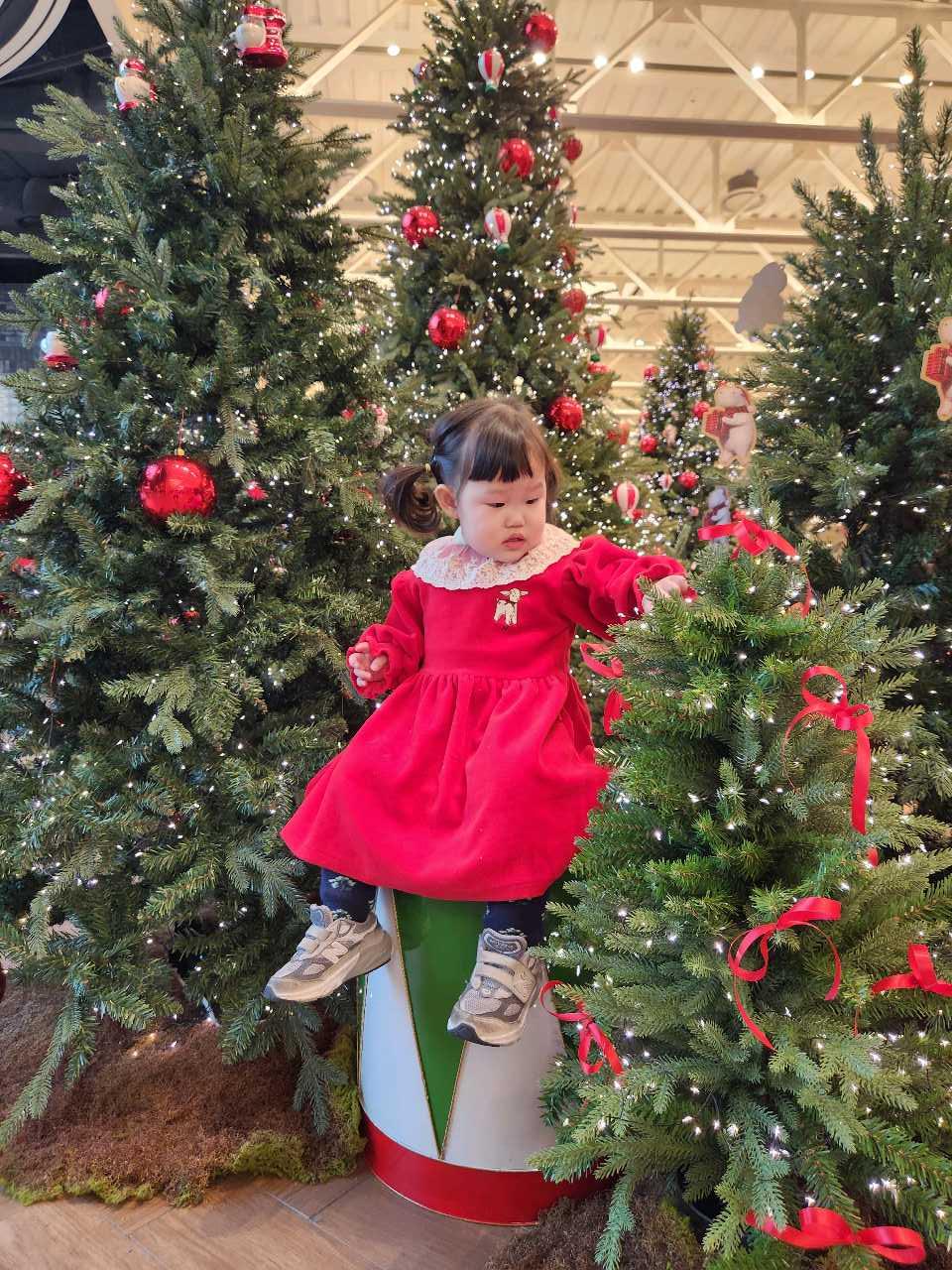 크루톡 이미지 5