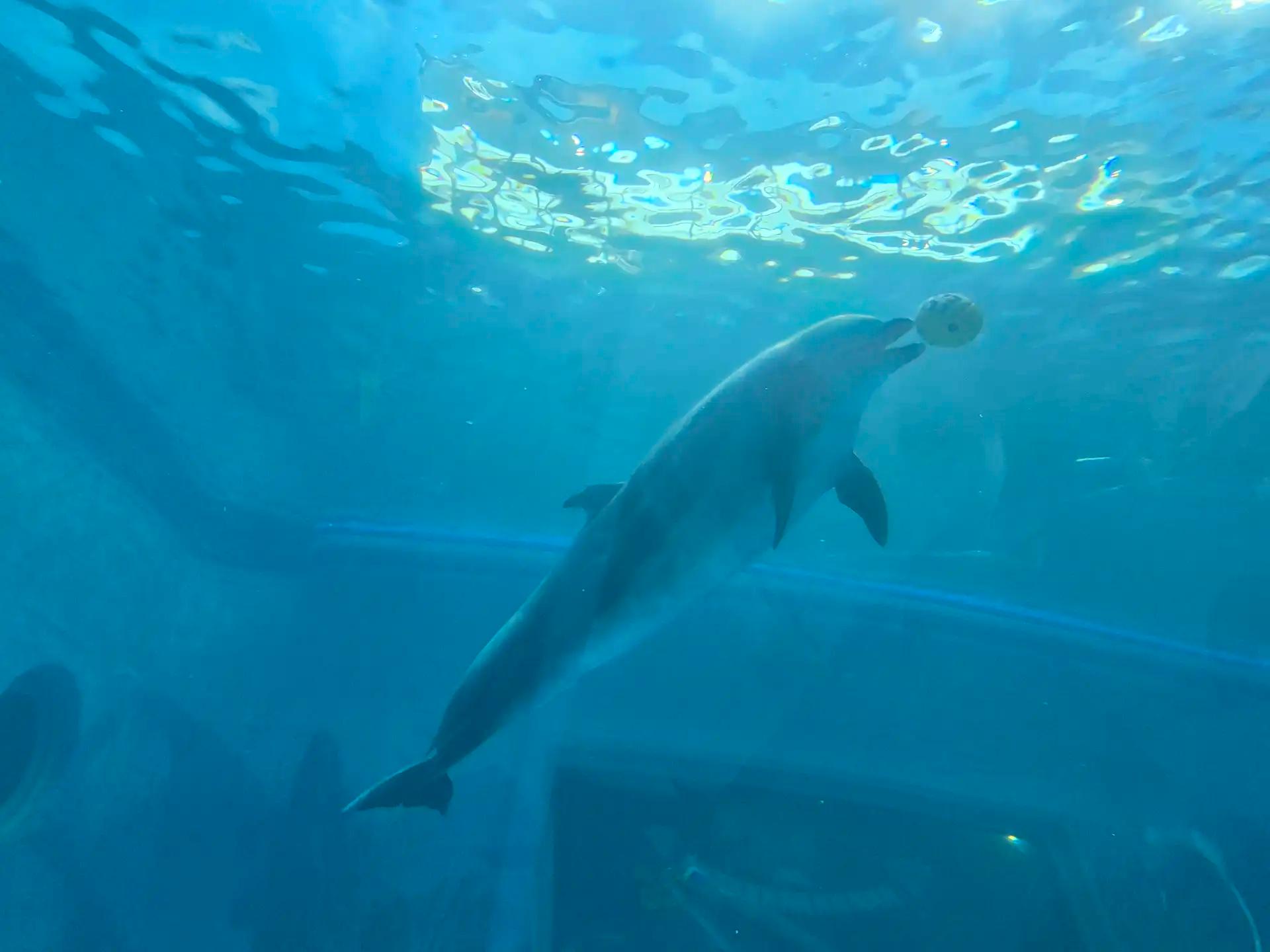 크루톡 이미지 1