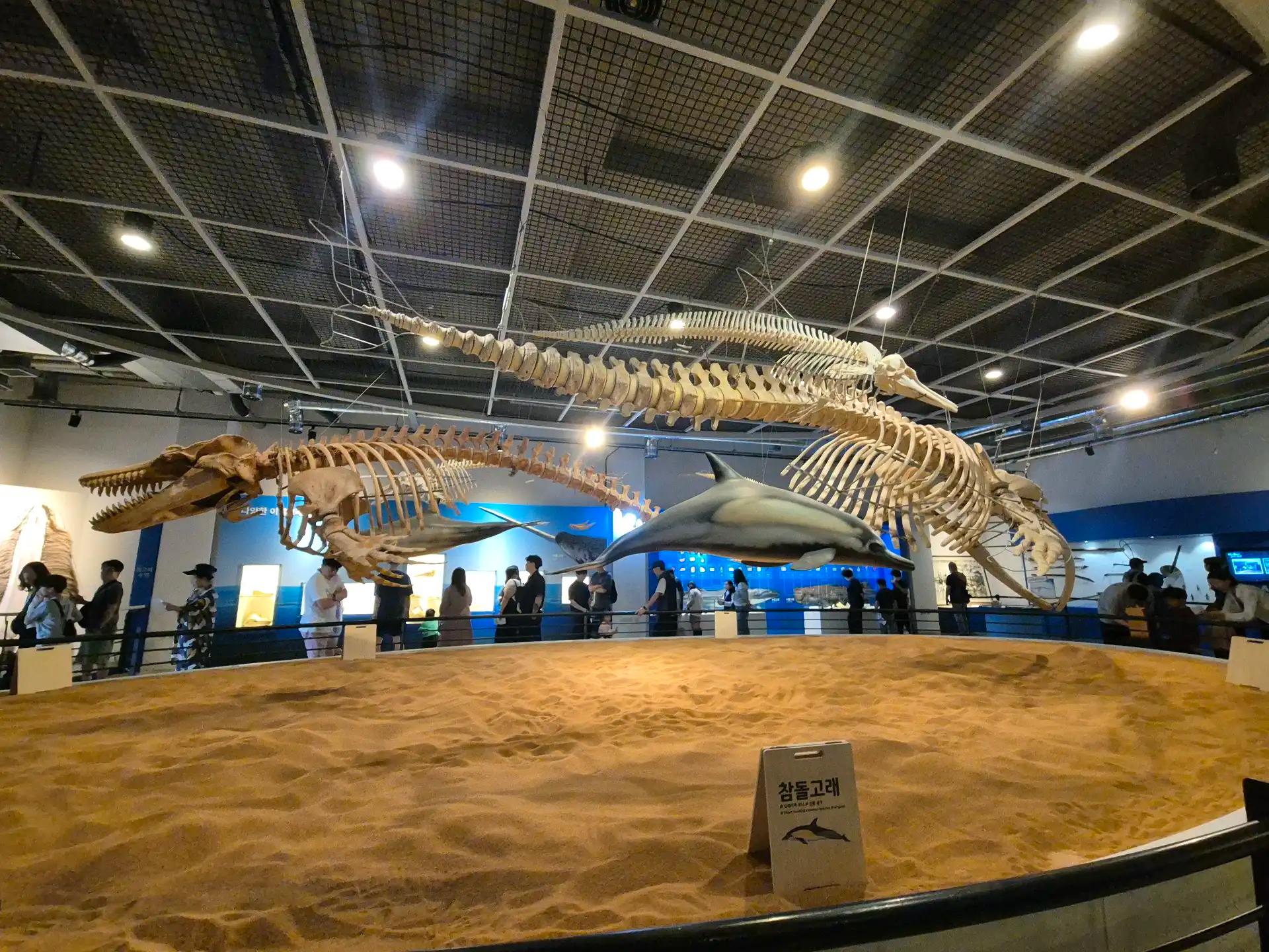 크루톡 이미지 2