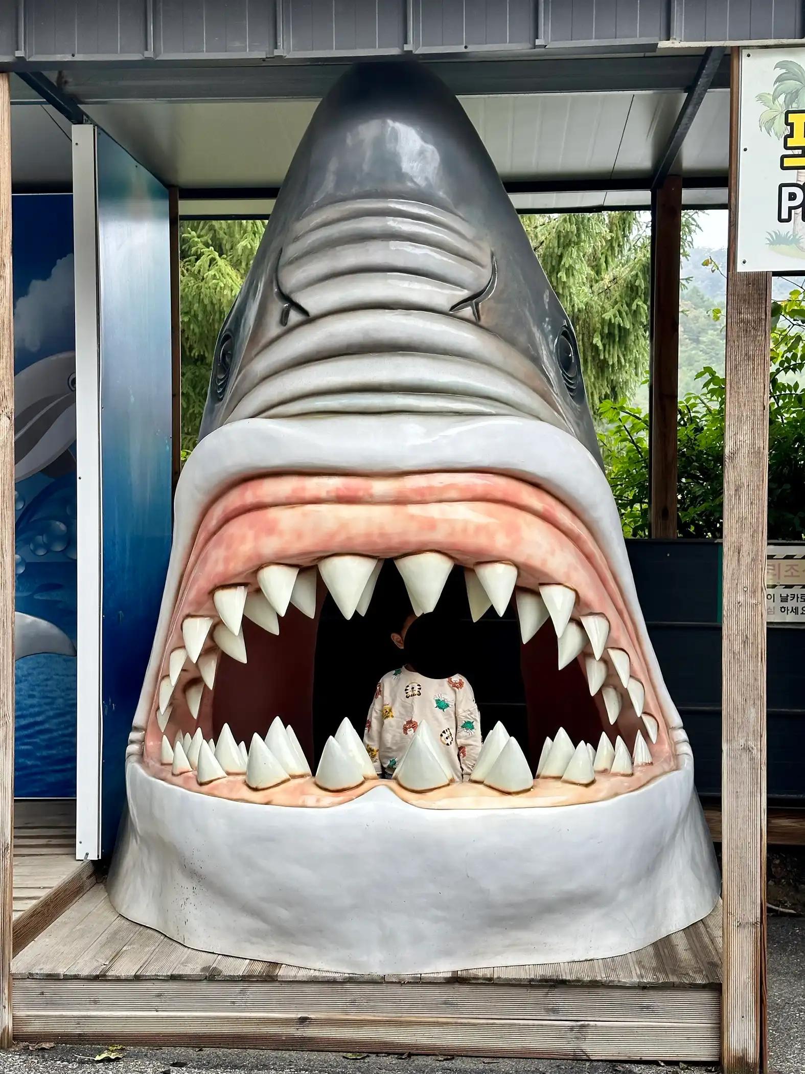 크루톡 이미지 3