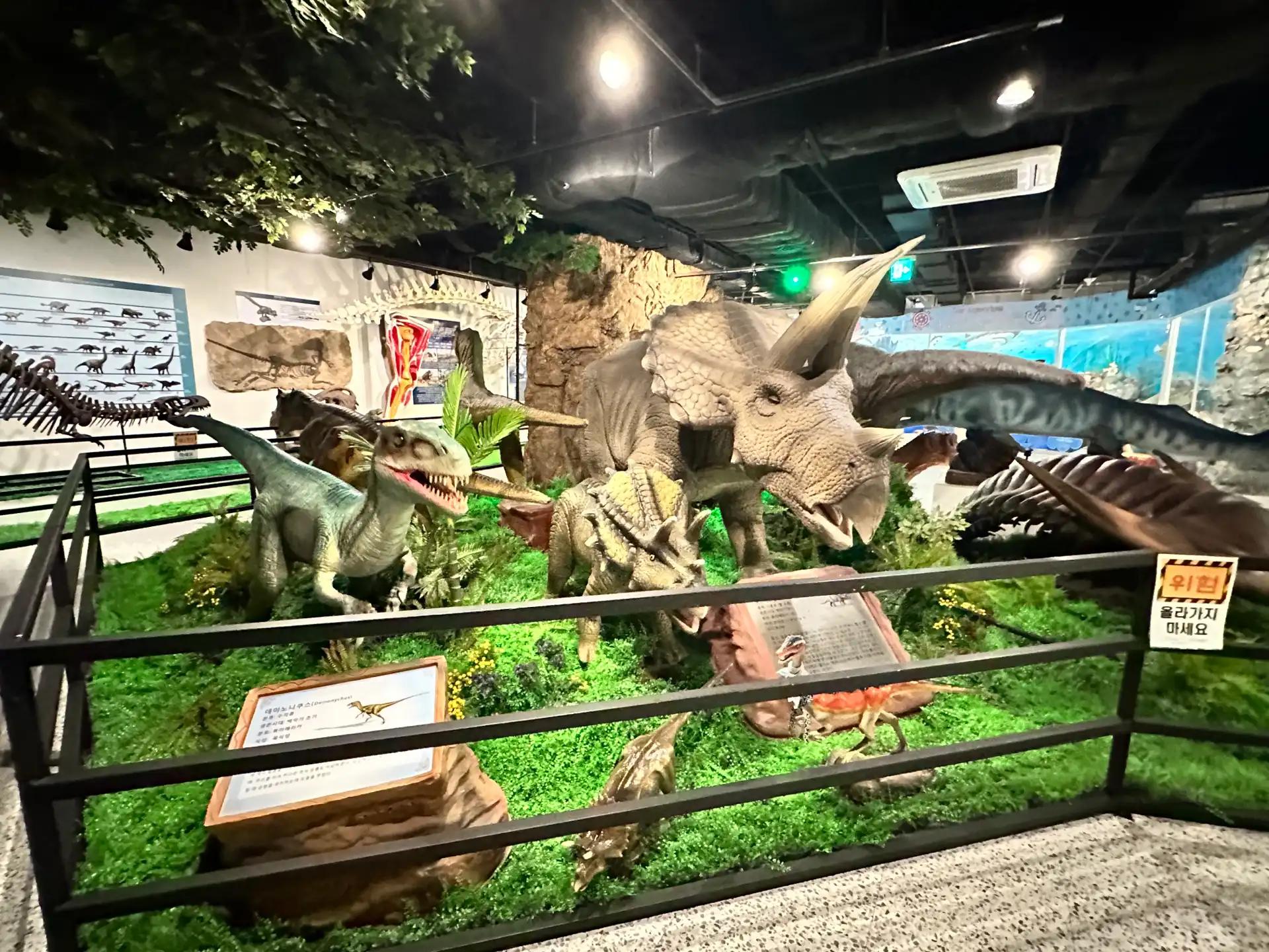 크루톡 이미지 5