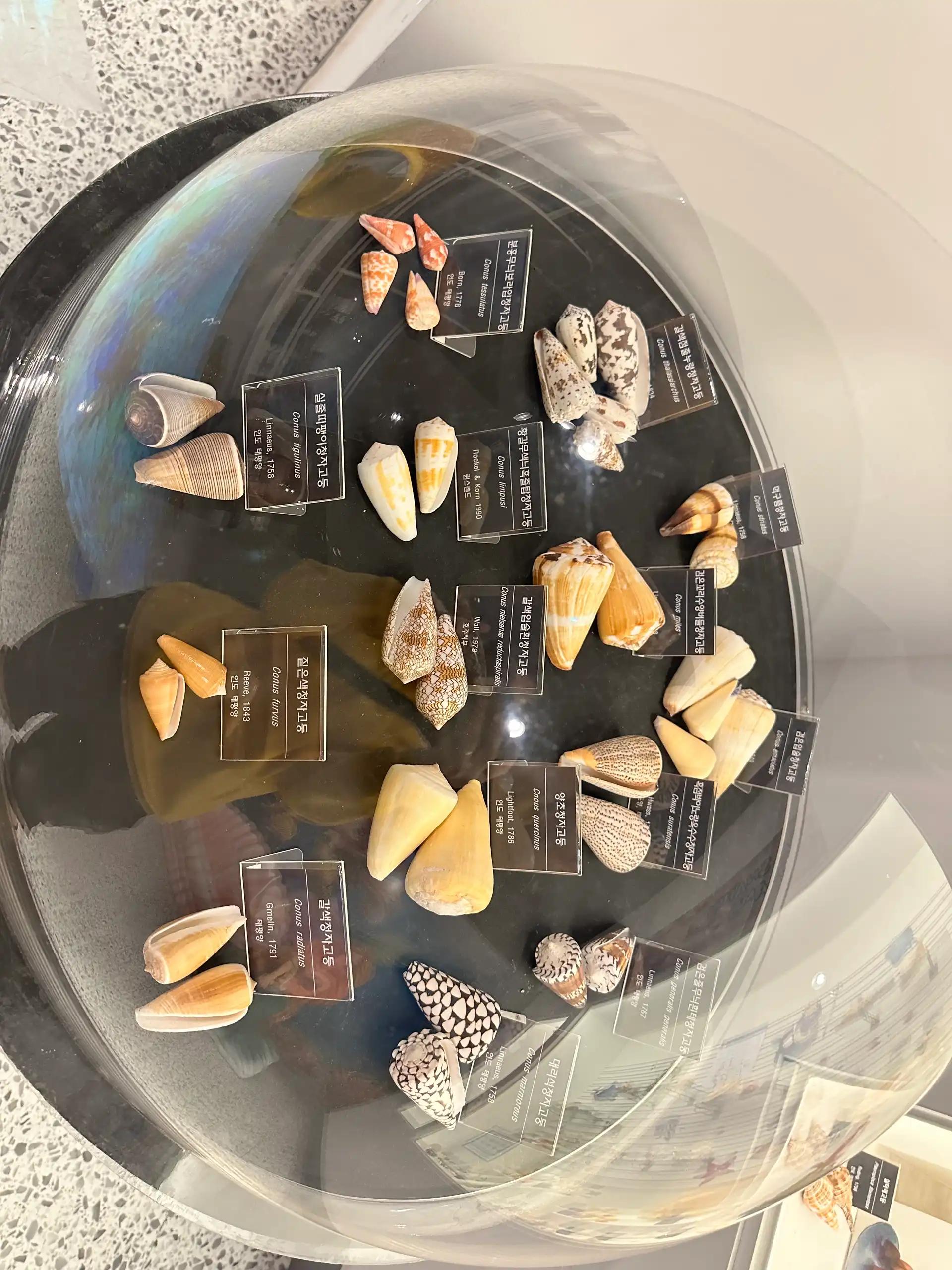 크루톡 이미지 7