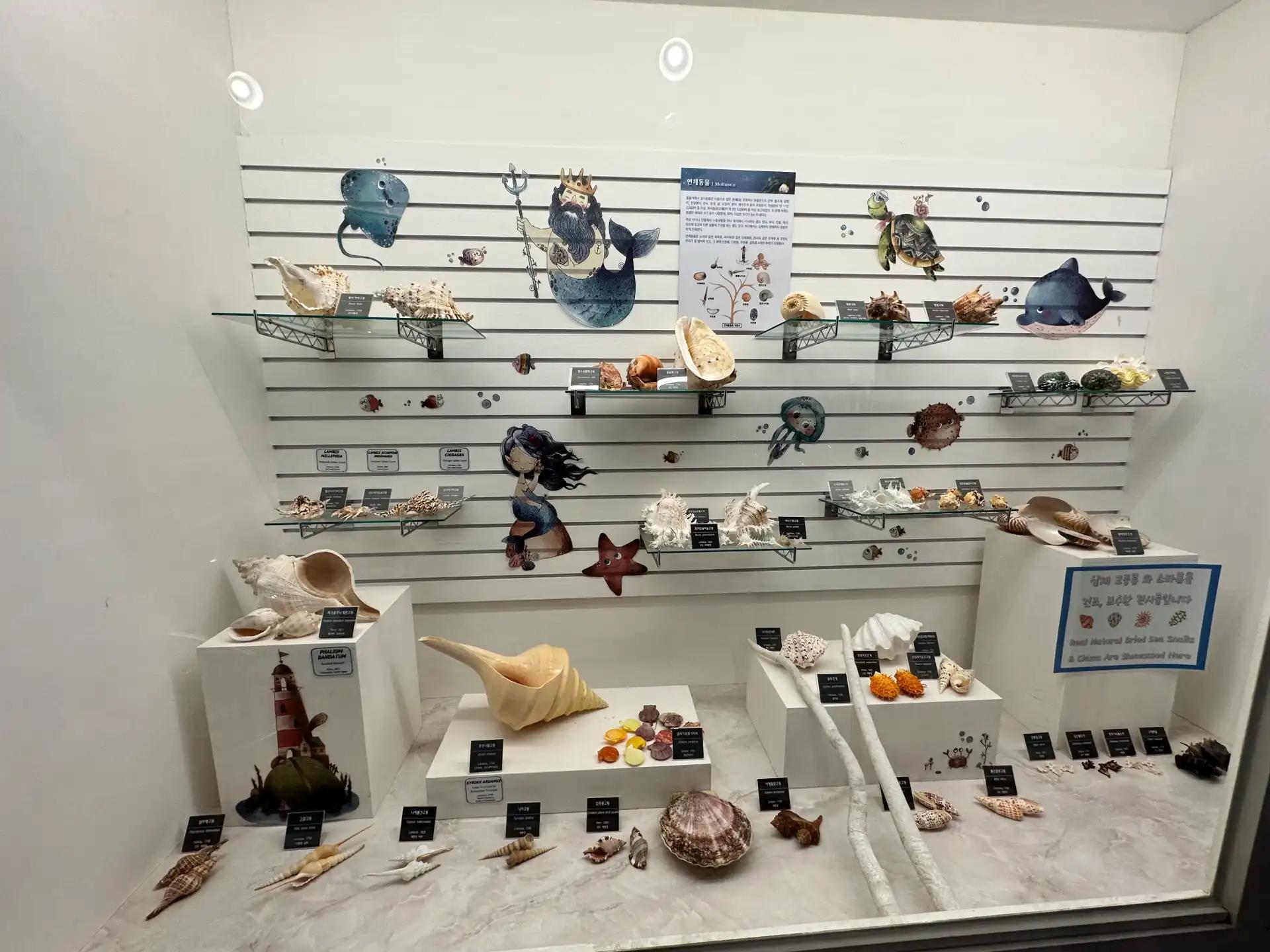 크루톡 이미지 8