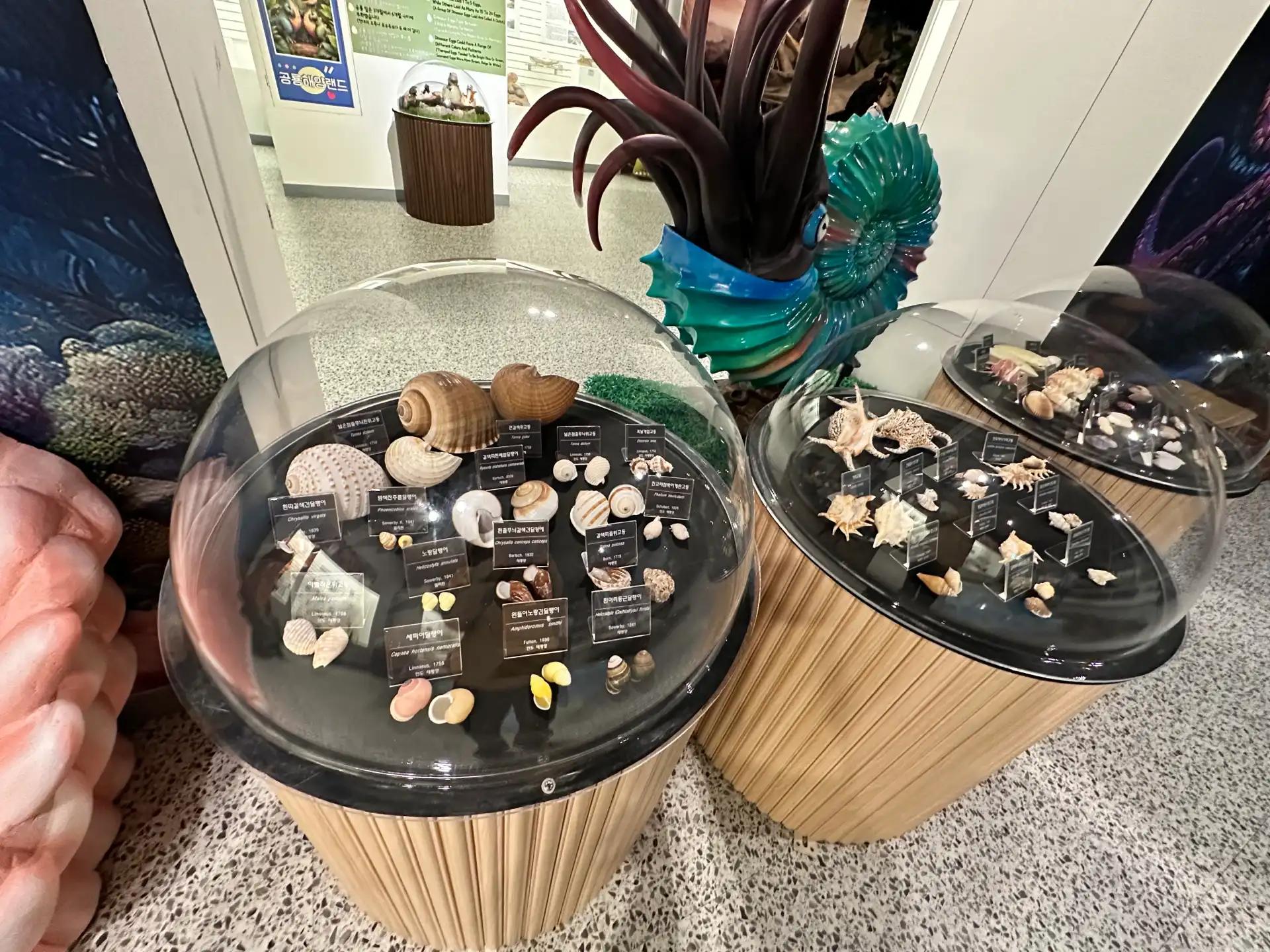 크루톡 이미지 9