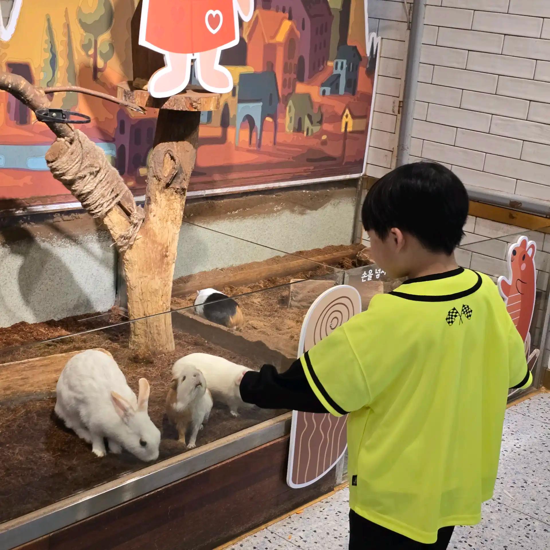 크루톡 이미지 1