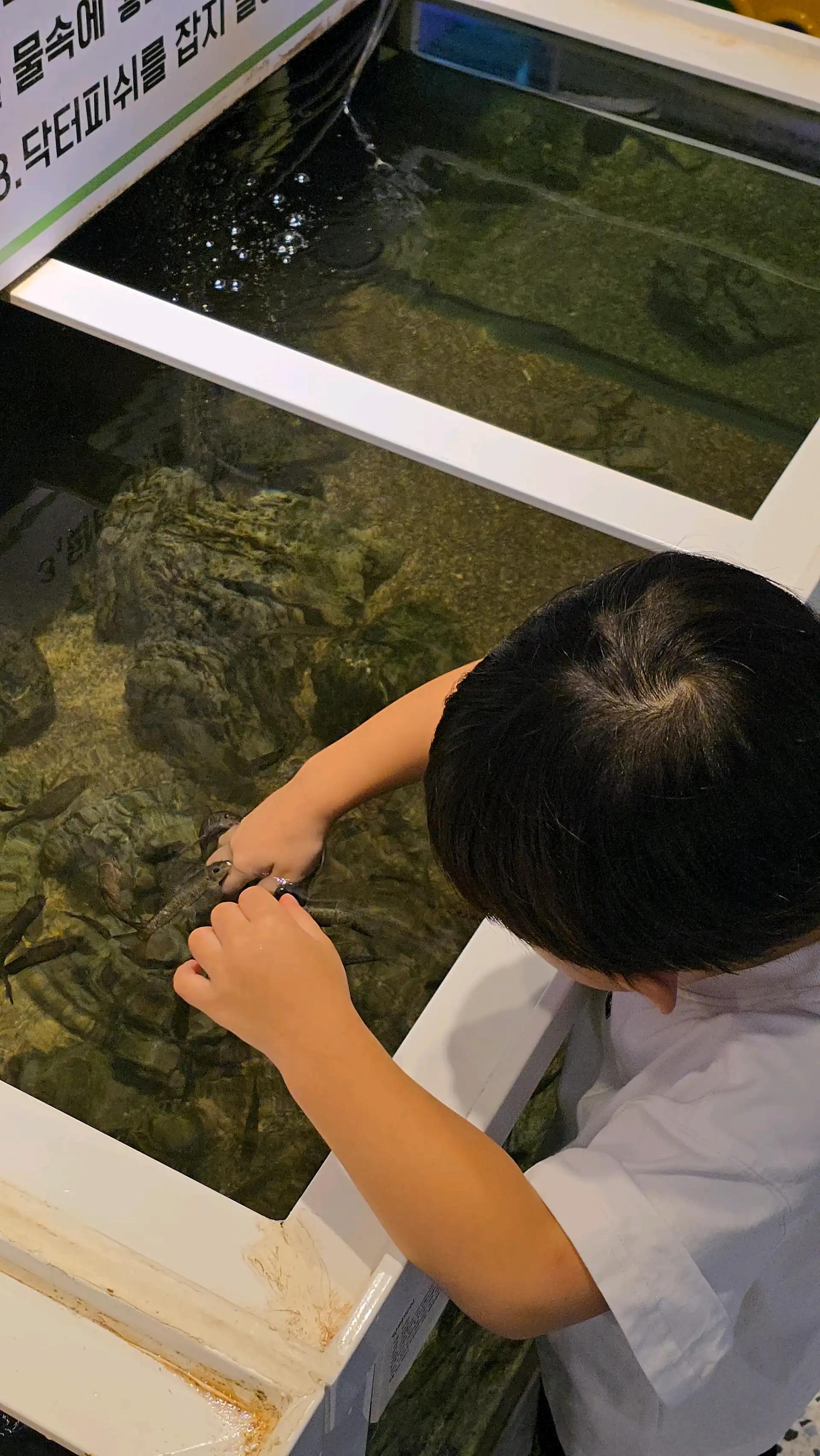 크루톡 이미지 2