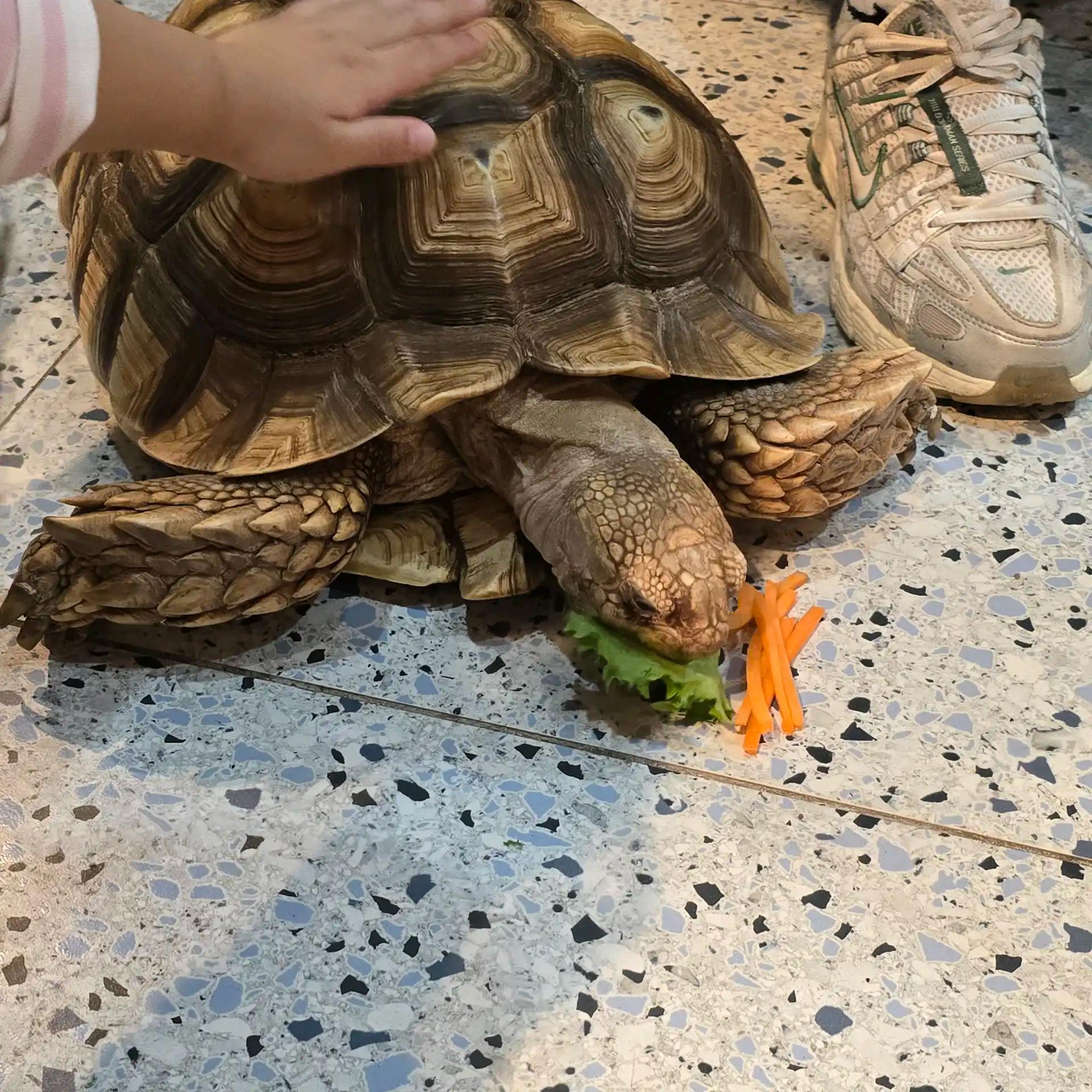 크루톡 이미지 3