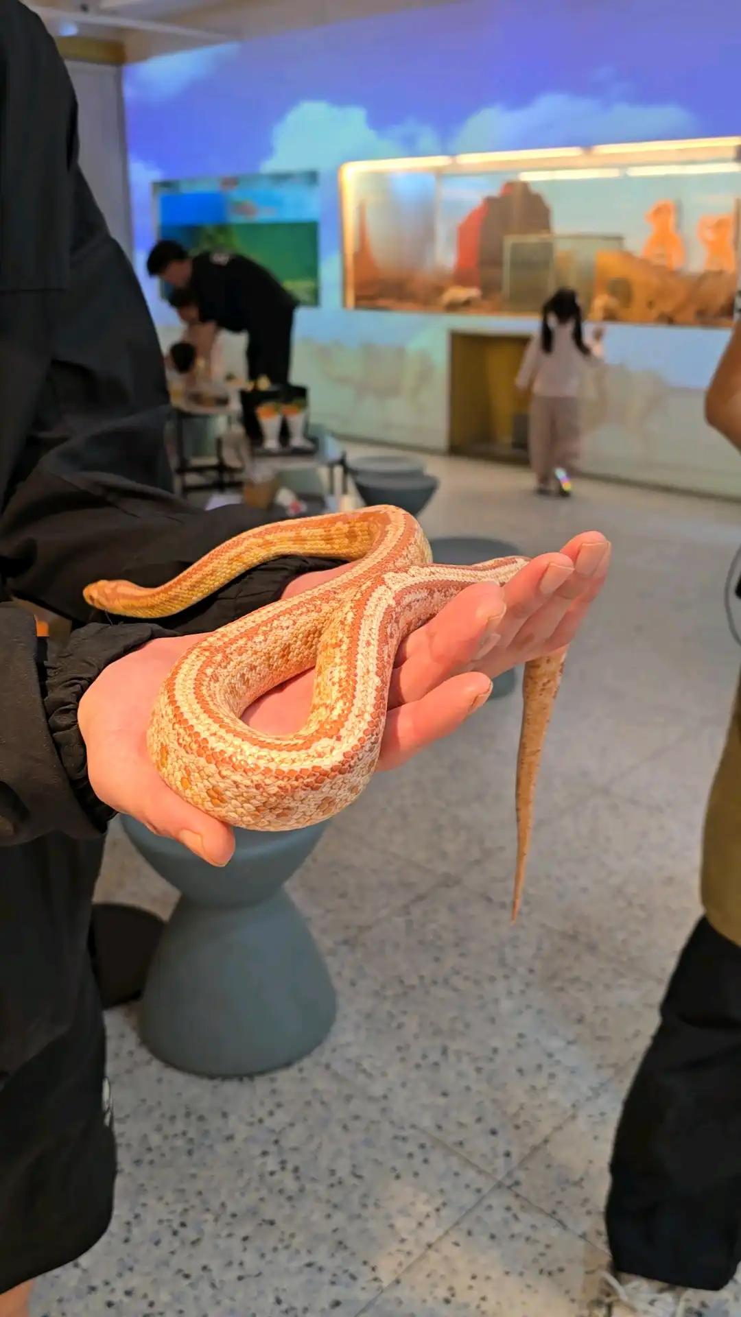 크루톡 이미지 5