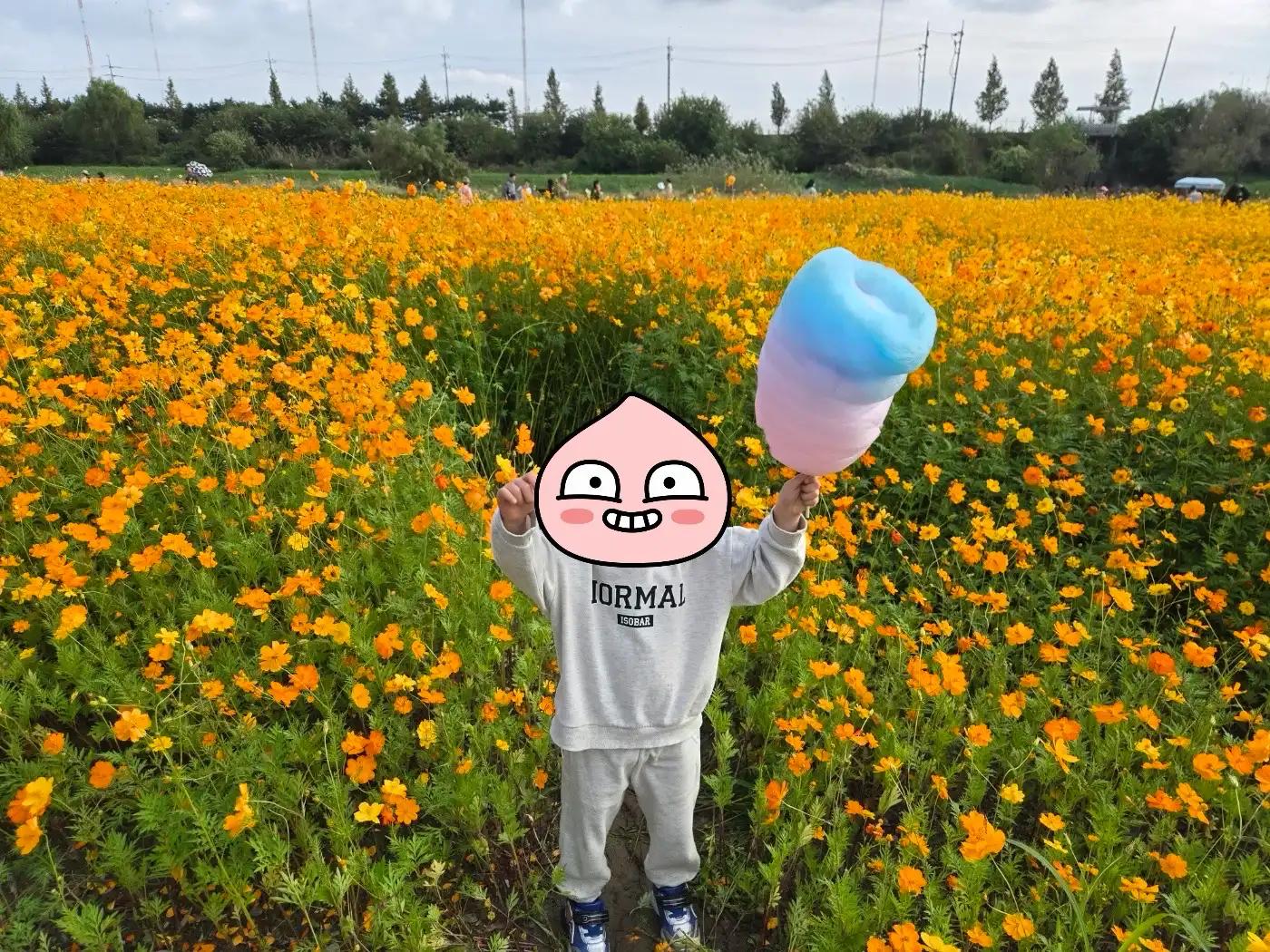크루톡 이미지 1