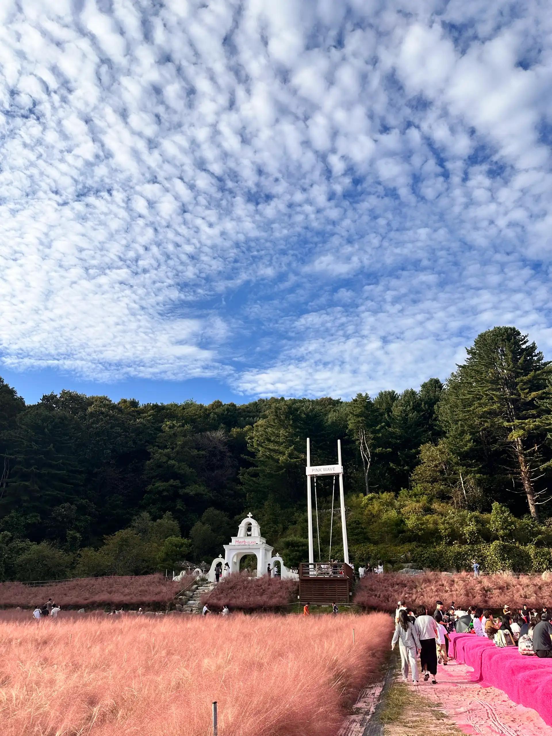 크루톡 이미지 3