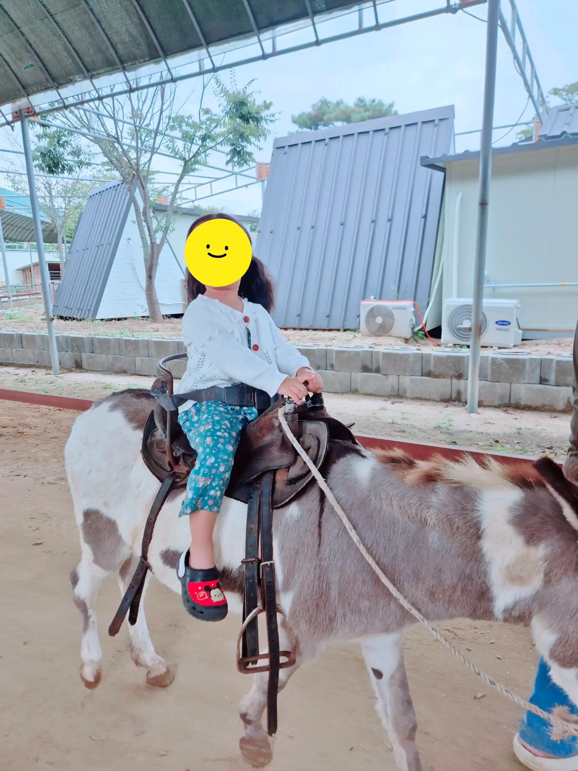 크루톡 이미지 1