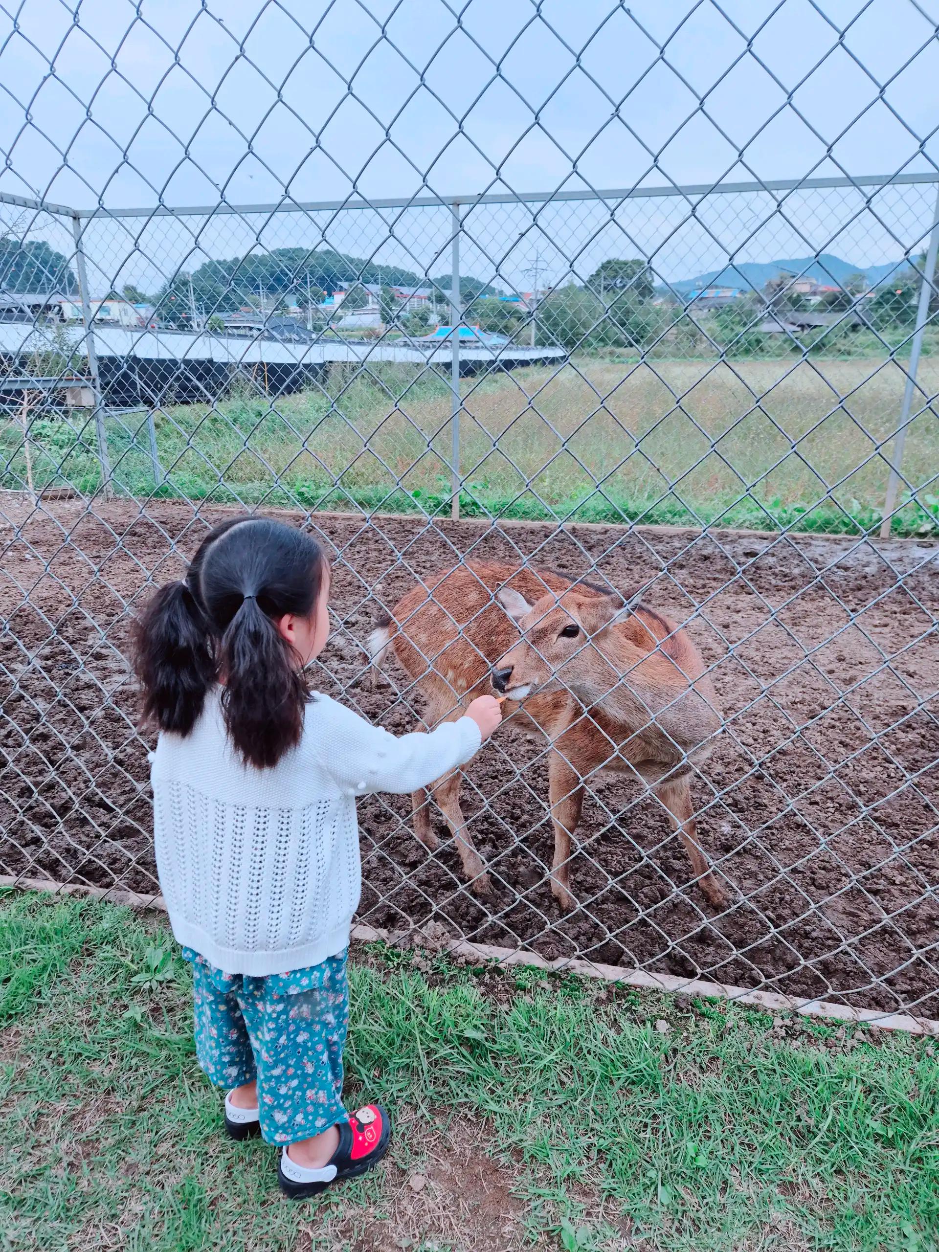 크루톡 이미지 3
