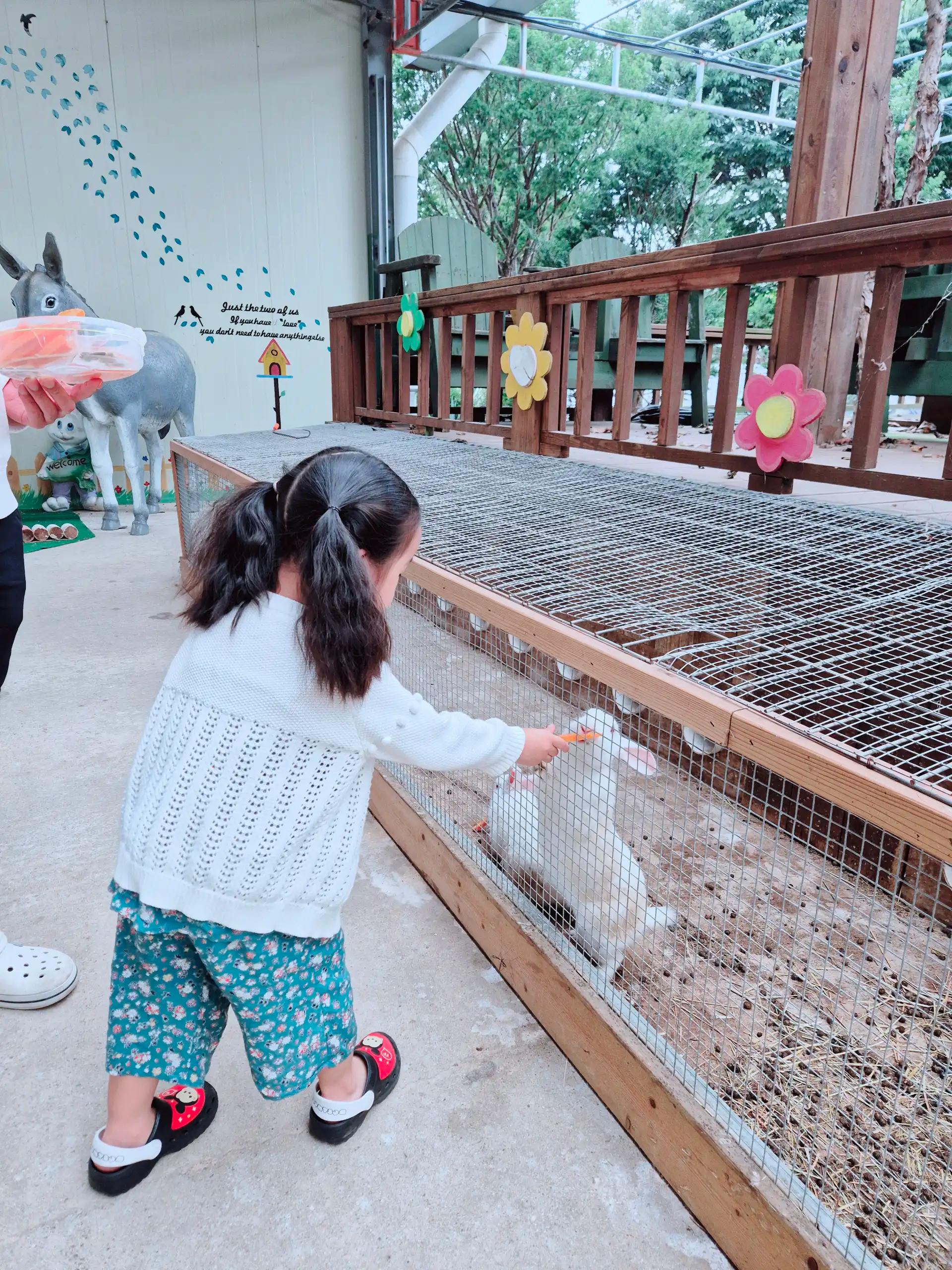 크루톡 이미지 6