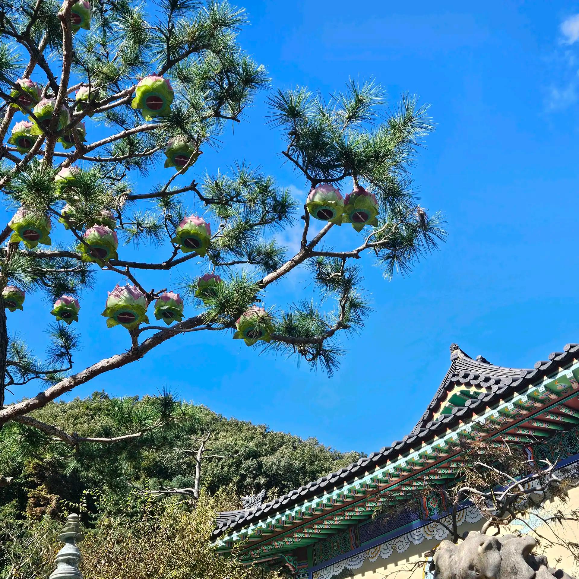 크루톡 이미지 5