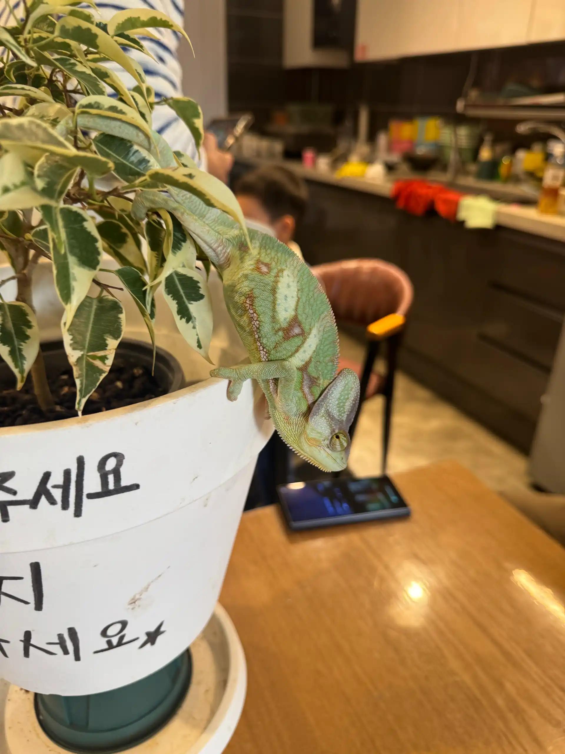 크루톡 이미지 6