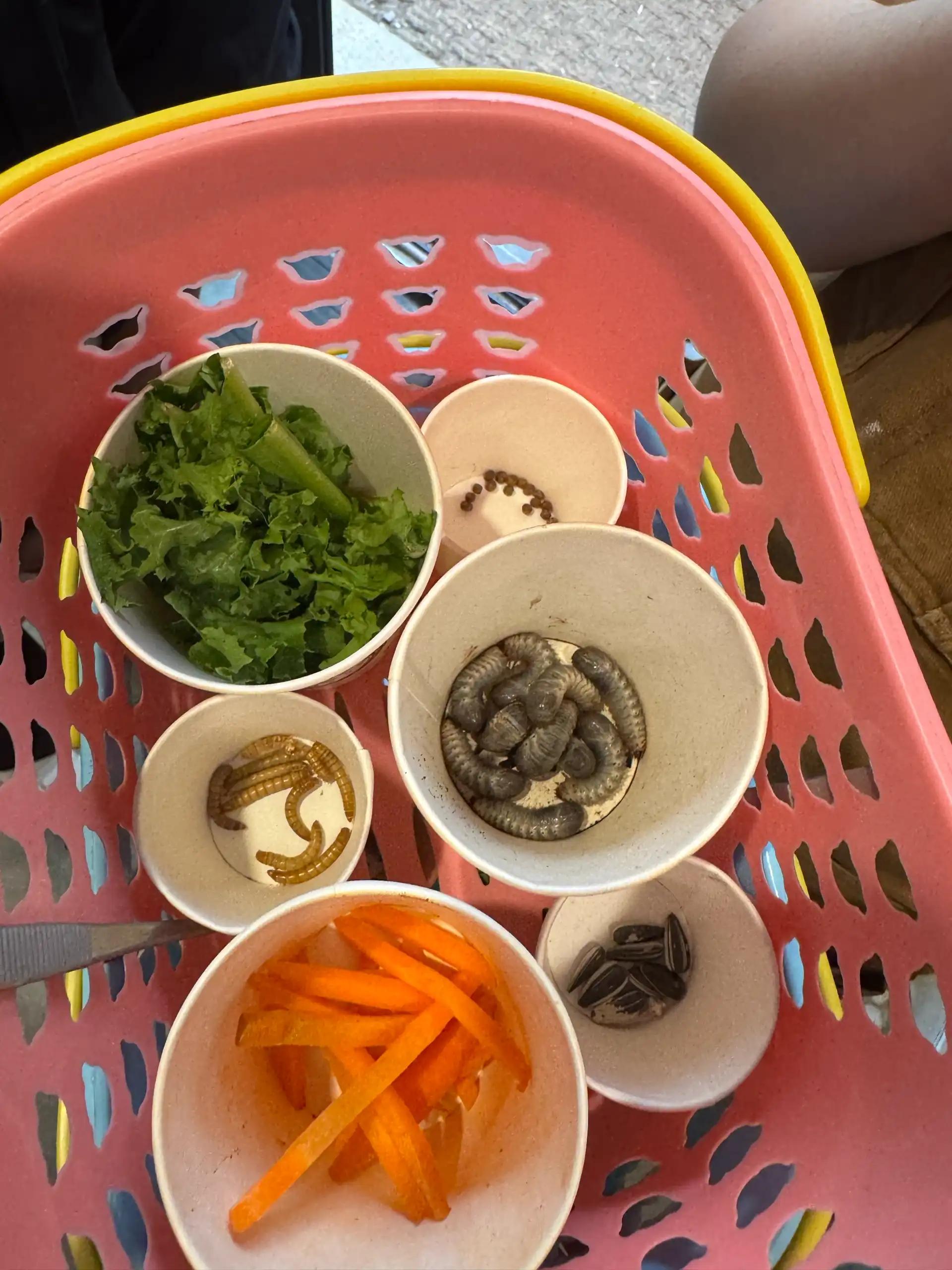 크루톡 이미지 7