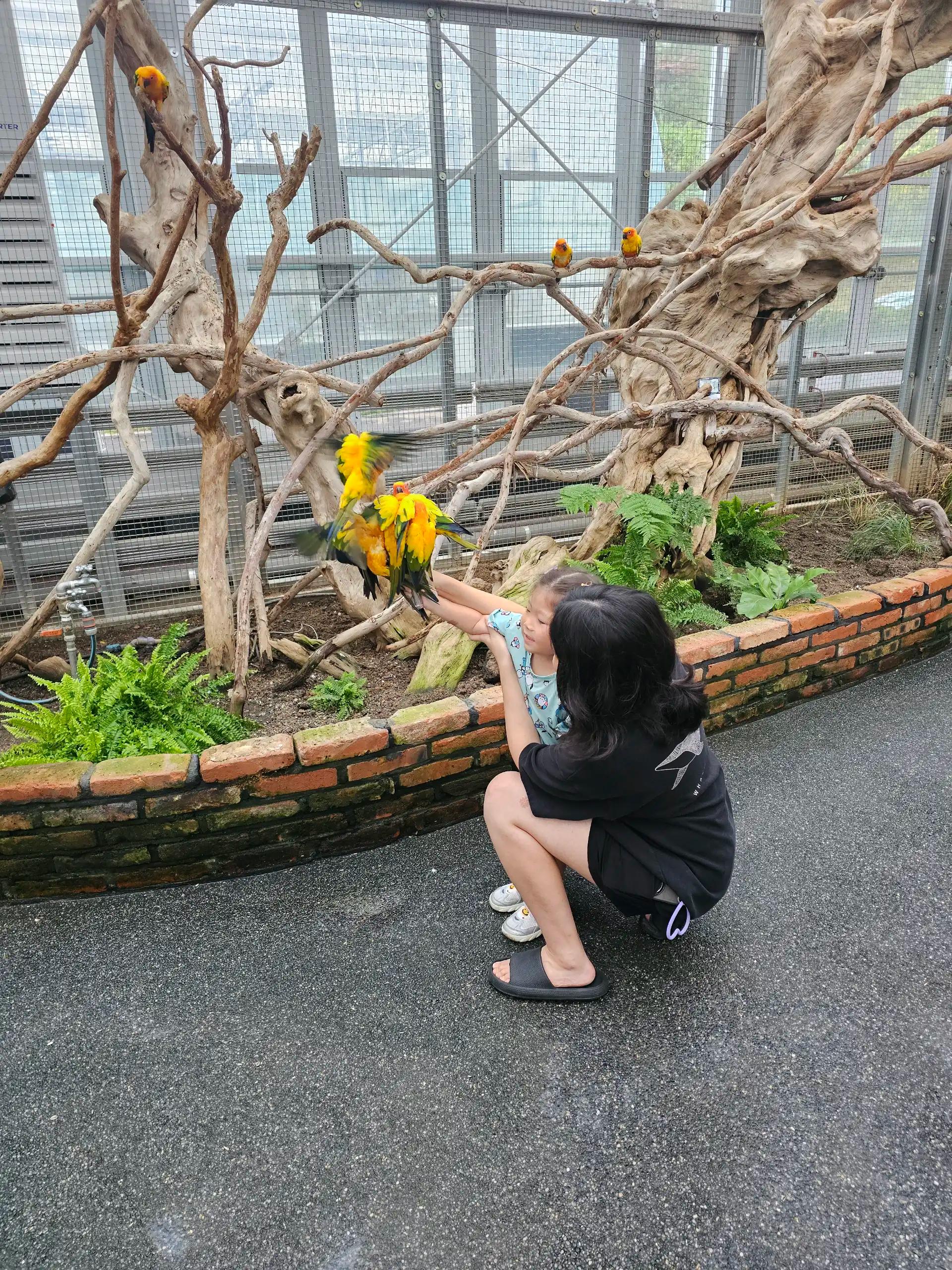 크루톡 이미지 2