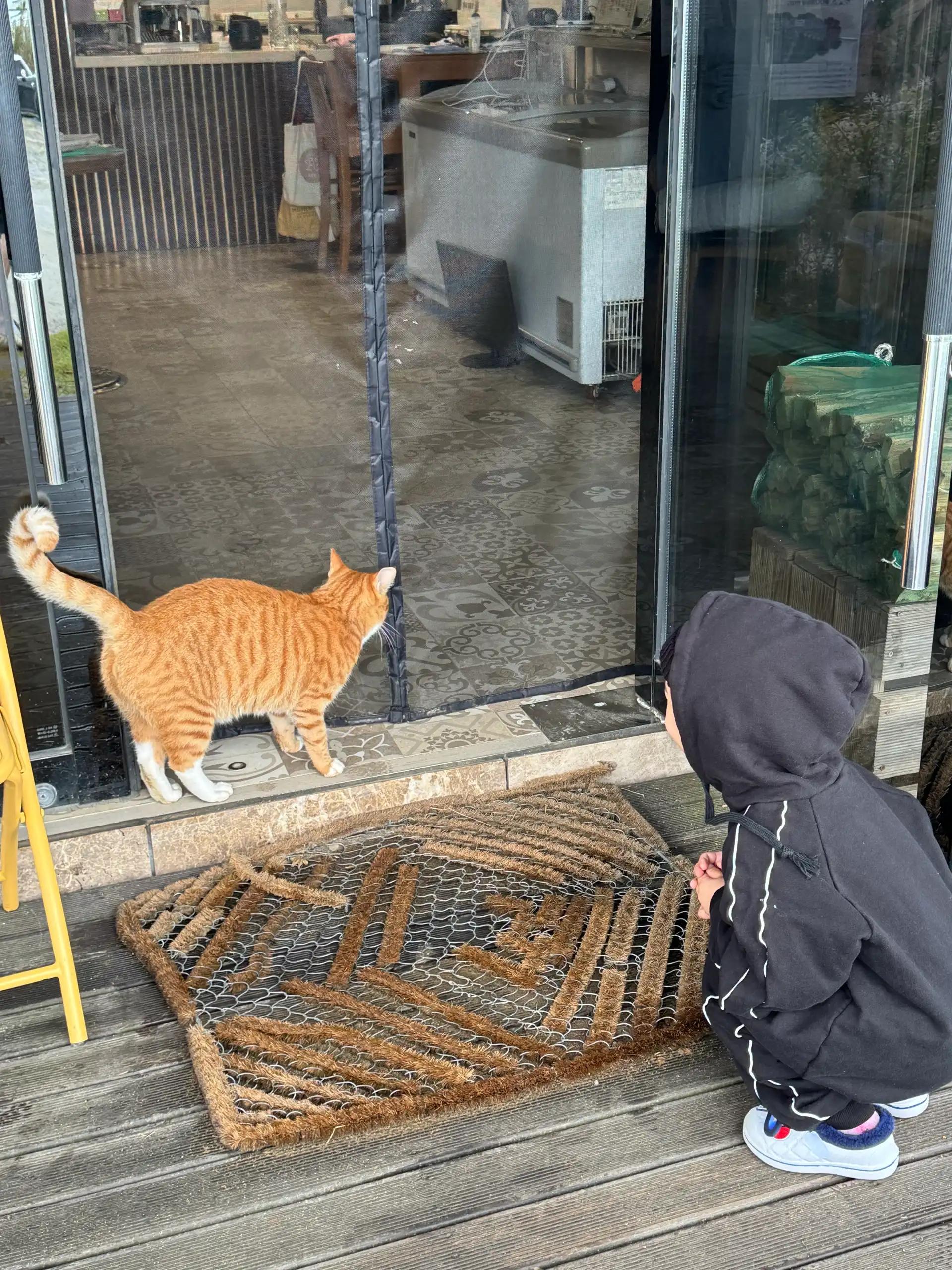 크루톡 이미지 2