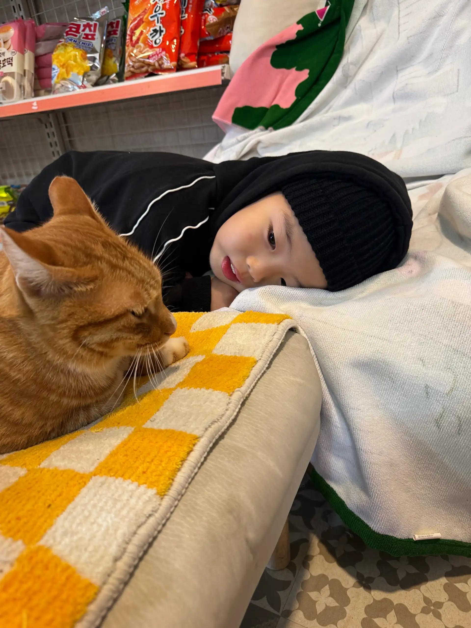 크루톡 이미지 3